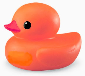 canard%20%C3%A0%20l%27orange.jpg